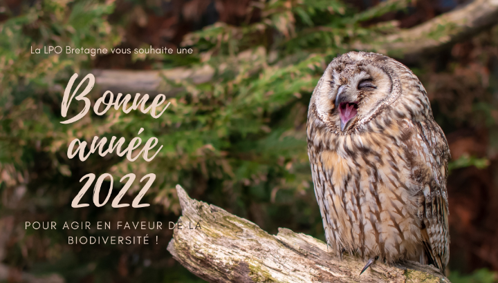 La LPO Bretagne vous souhaite une bonne année 2022 !